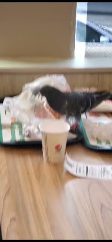 23Q4+7RG, Av. Juan Gorlero, 20100 Punta del Este, Departamento de Maldonado