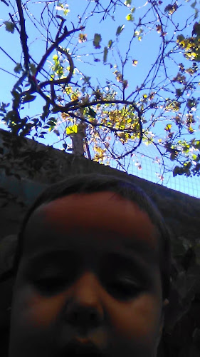 Pizzería El Tano - Gastronomía y hostelería