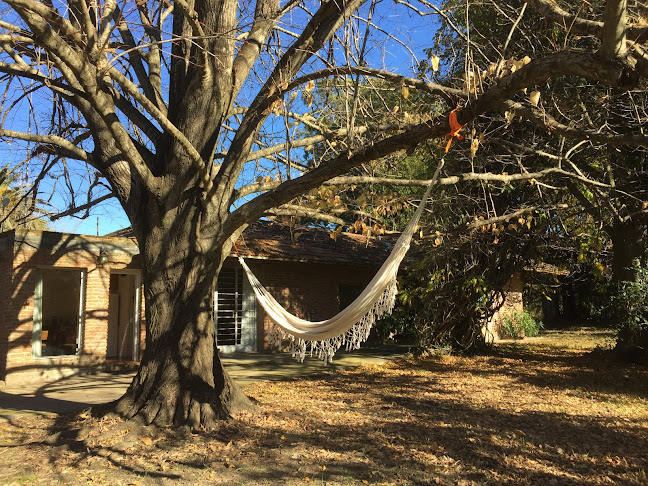 Comentarii opinii despre Chacra La tardecita