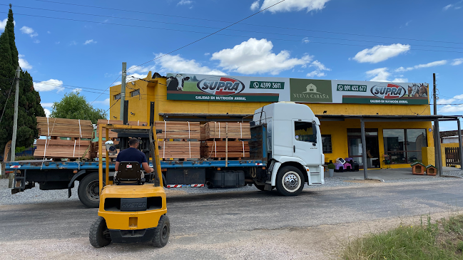 Opinii despre Nueva Cabaña în San Jacinto - Gastronomía y hostelería