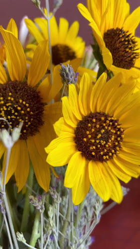 Opinii despre Puerto Aromas în 18 de Mayo - Gastronomía y hostelería