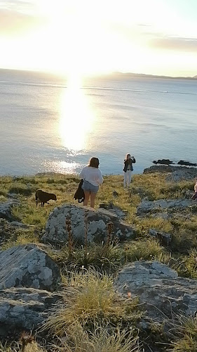 Opinii despre Mirador Resto de Punta Ballena în Punta Ballena - Gastronomía y hostelería