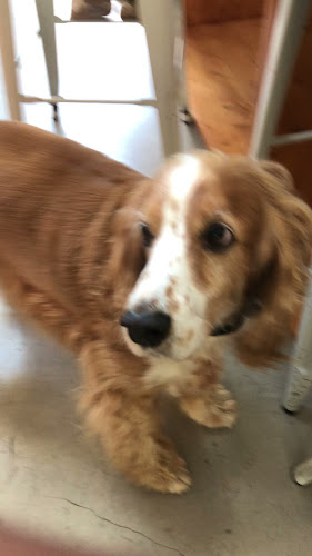 La Bici - Cafe de especialidad - Punta del Este