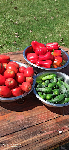 La Duna - Gastronomía y hostelería