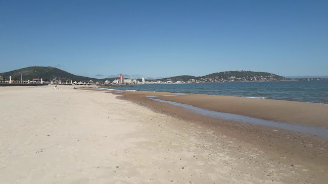 La Rotonda - Gastronomía y hostelería