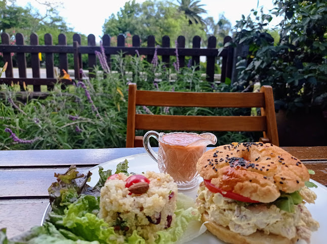 Lo de Cecilia - Maldonado