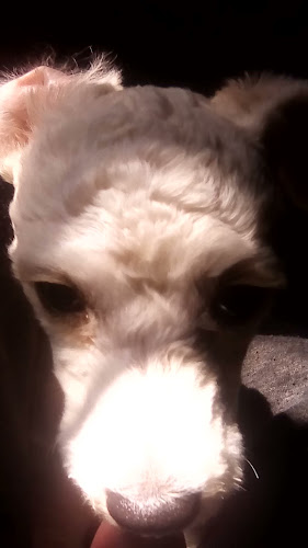 Comentarii opinii despre Pizzería Obelisco