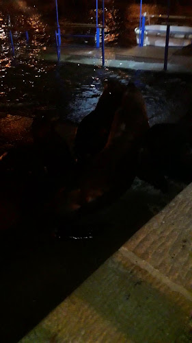 Chivipizza Puerto de Punta del Este - Gastronomía y hostelería