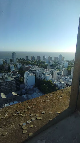 Opinii despre Café Mirador în Montevideo - Gastronomía y hostelería