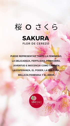 Opinii despre URUMAKI SUSHI Y COCINA - Delivery o takeaway - în Col. del Sacramento - Gastronomía y hostelería