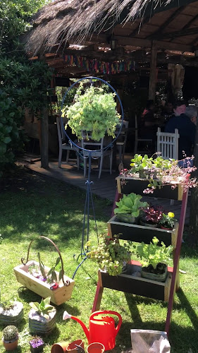 Punta Ballena Market - Punta Ballena