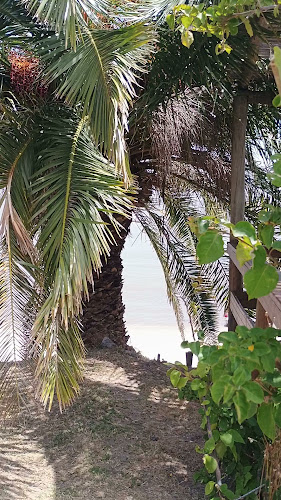 Puerto Cañon River Bar