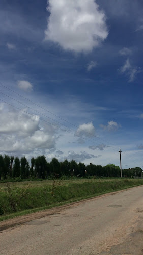 Feria Organica Chacra Melilla