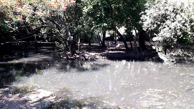 La Casa del Lago - 18 de Mayo