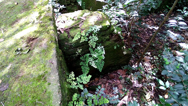 Opinii despre Cantina Mataojo - La Dacha în Maldonado - Gastronomía y hostelería