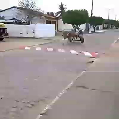 Minimercado del Barrio - Rivera