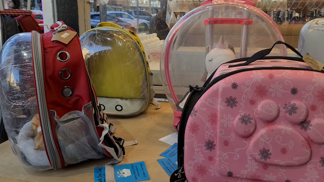 29 - ላስ ጋቢኦታስ, 20100 Punta del Este, Departamento de Maldonado