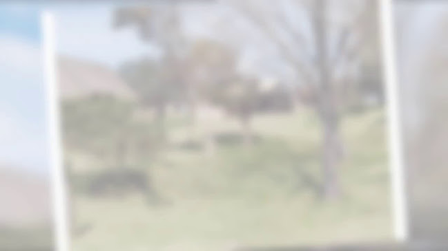 Hostal Punta Pueblo - Gastronomía y hostelería