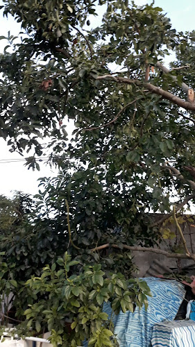 BIZCOCHERÍA Y ROTISERÍA HUGO