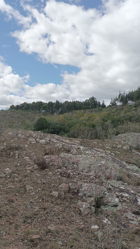 Café Cinemateca - Gastronomía y hostelería