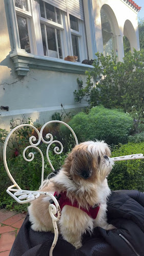 Comentarii opinii despre Alquimista Restaurante