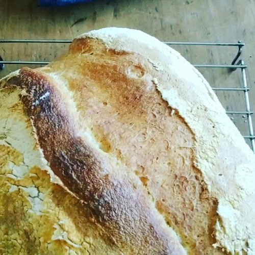 BeerBros - Gastronomía y hostelería