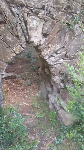 Opinii despre Panaderia Calera Del Rey în Pan de Azúcar - Gastronomía y hostelería