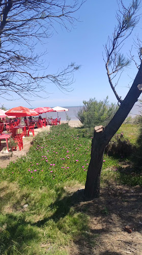 Comentarii opinii despre Rincón Costero