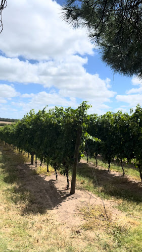 MonfrA winerestaurant