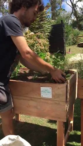 Punta Ballena Market - Gastronomía y hostelería