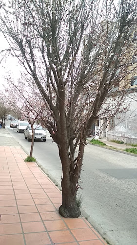 72GQ+JFV, 15600 Pando, Departamento de Canelones