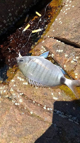 Rbla. de los Ingleses y, 20200 Piriápolis, Departamento de Maldonado