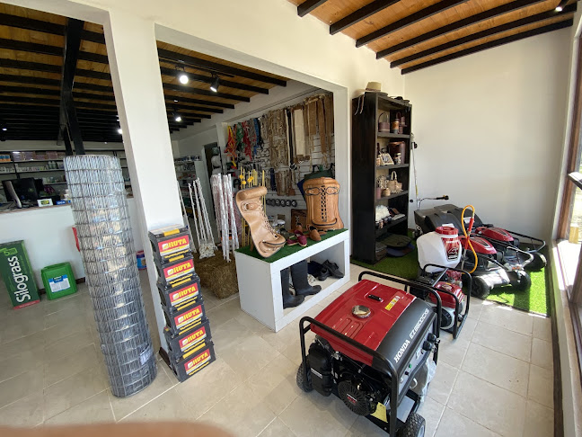 Nueva Cabaña - San Jacinto