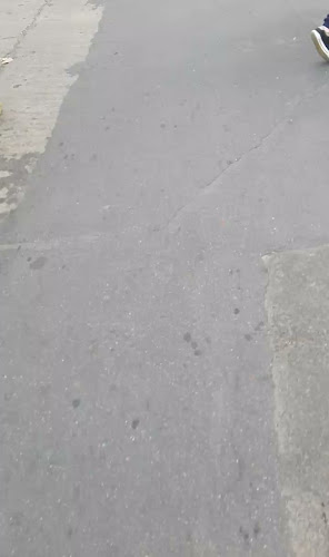 Feria de Colón - Montevideo