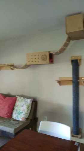 Comentarii opinii despre Telizzia Cat Café