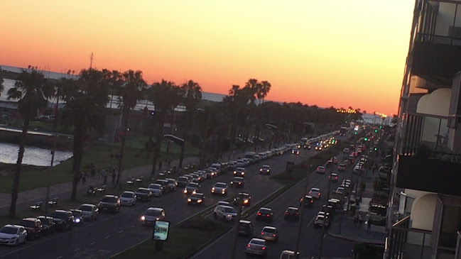 Comentarii opinii despre Che Montevideo