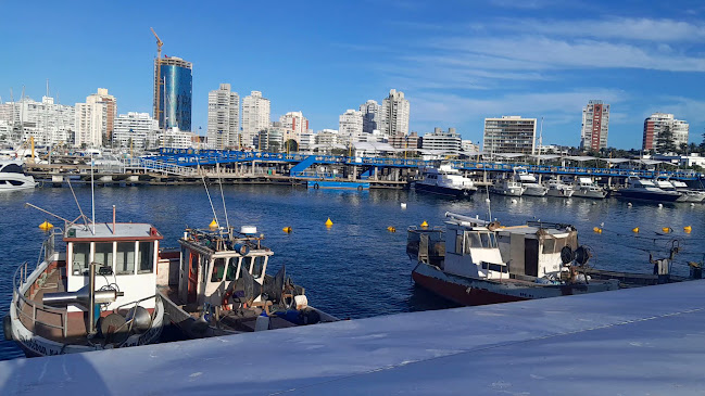 Gelatería Il Porto - Helados artesanales