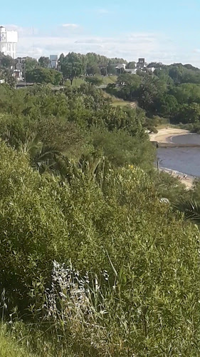 Comentarii opinii despre Puerto Cañon River Bar