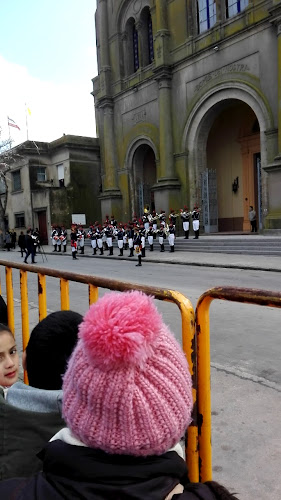 Comentarii opinii despre Almacén Rural Florida