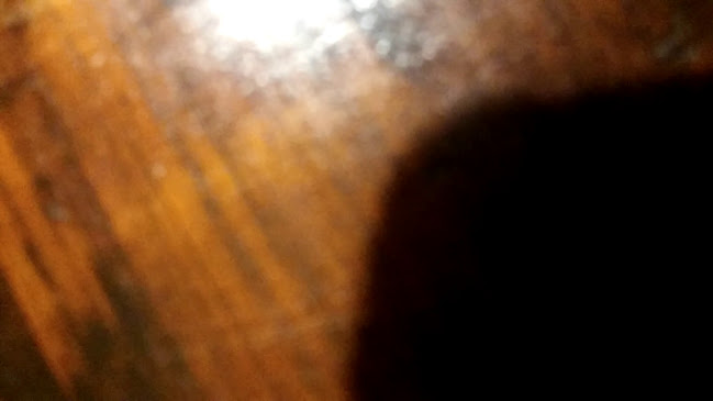 Opinii despre El Quijote Empanadas în Santa Lucía - Gastronomía y hostelería