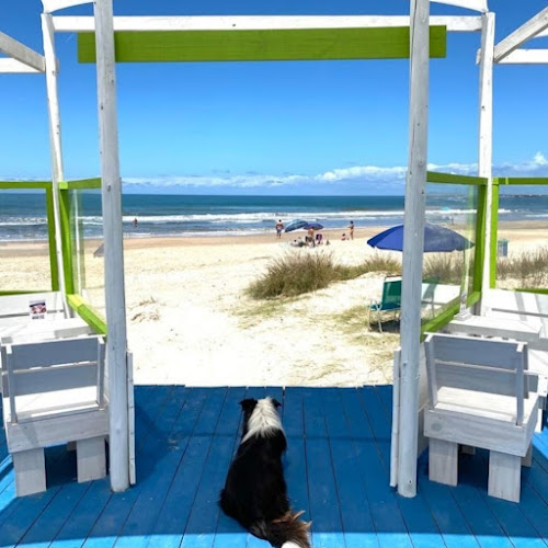 Anibal Falco y, 27001 La Paloma, Departamento de Rocha