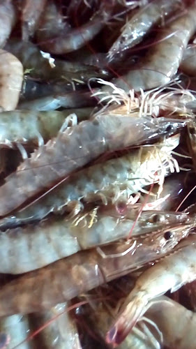 Jose Ignacio entre, Av. Héctor Soria y, 20000 Departamento de Maldonado