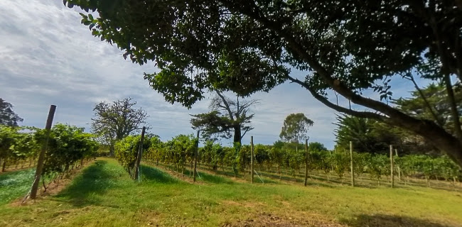 Opinii despre Las Liebres - Restaurante | Hotel în Col. del Sacramento - Gastronomía y hostelería