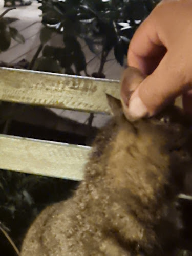 Av. Central 27204, 27204 Punta del Diablo, Departamento de Rocha