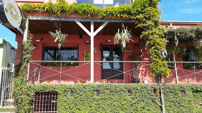 Opinii despre Batuva în Rio Branco - Gastronomía y hostelería