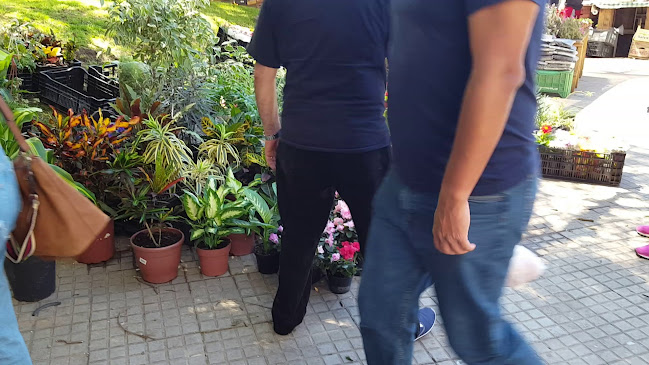 Opinii despre Feria De Villa Biarritz în Montevideo - Gastronomía y hostelería