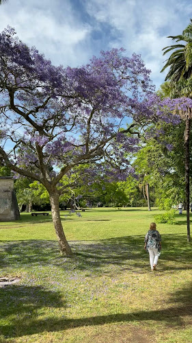 Comentarii opinii despre Viejo Hotel Solis