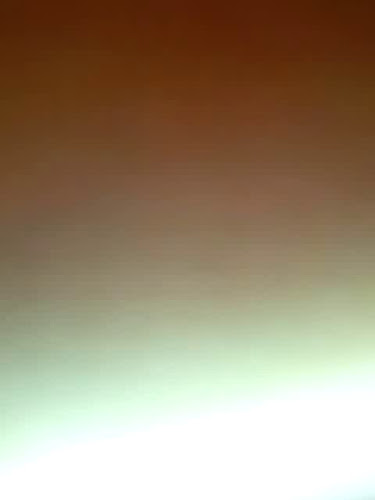 Los Silvitas - Pando