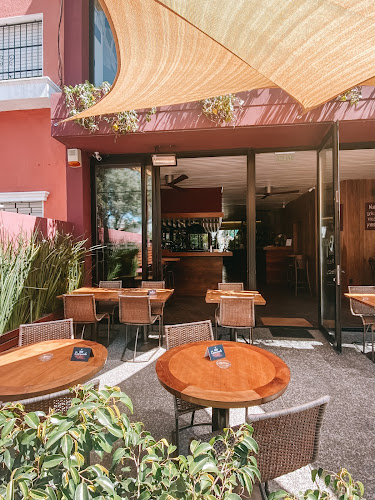 Baco Vino y Bistro - Gastronomía y hostelería