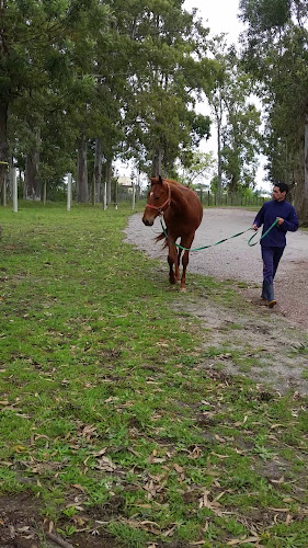 Hipódromo bar - Gastronomía y hostelería